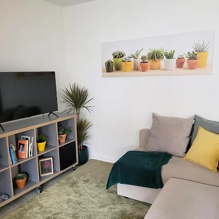 Apartment Familiar No Centro Historico - Afonso Henriques *