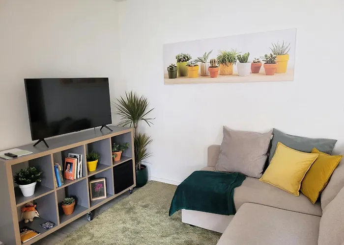 Apartamento Sé - Afonso Henriques *